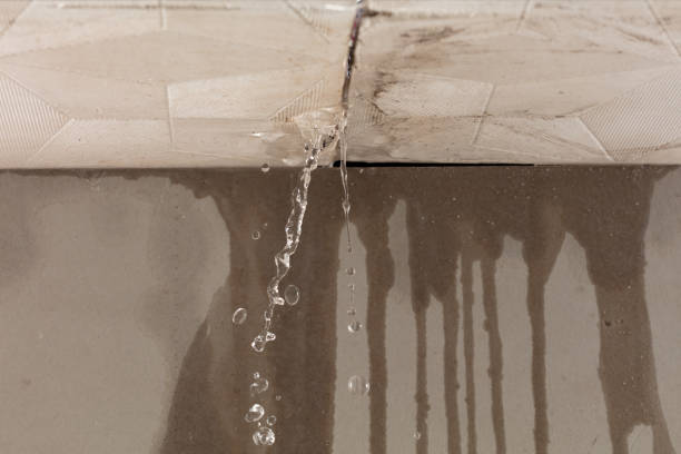 Professional Structural Drying technician working in Caledonia, IL